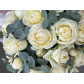 Белые кустовые Розы в шляпной коробке