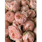 15 пионовидных кустовых Роз