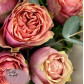 11 пионовидных Роз