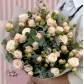 7 кустовых пионовидных Роз